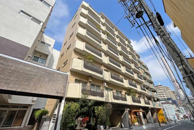 ドッケン代官山ハイツの外観(南側から）