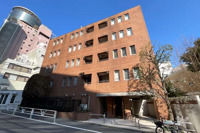 マイア渋谷桜丘の外観（南西側から）