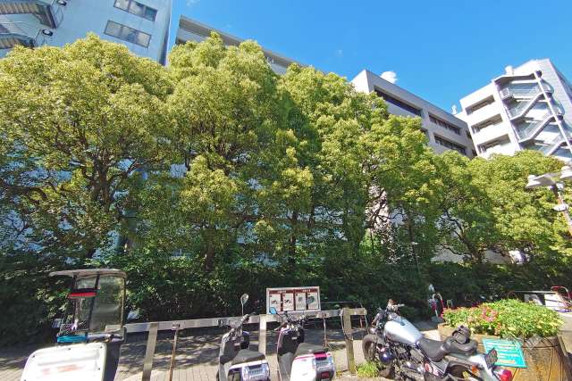 マンションの外観