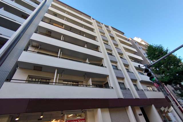 シャトレー幡ヶ谷の外観（南西側から）