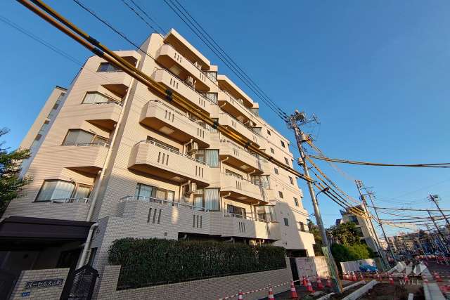 パーセル大山町の外観（北西側から）