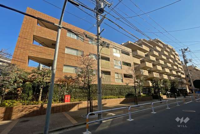 アデニウム武蔵小山の外観（西側から）