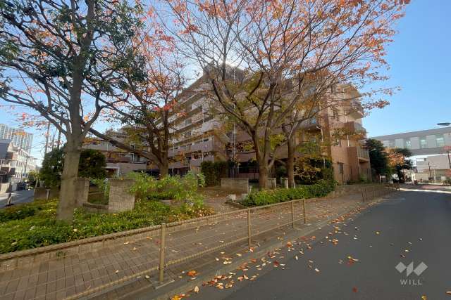 シャールレーク大井桜通りの外観（北西側から）