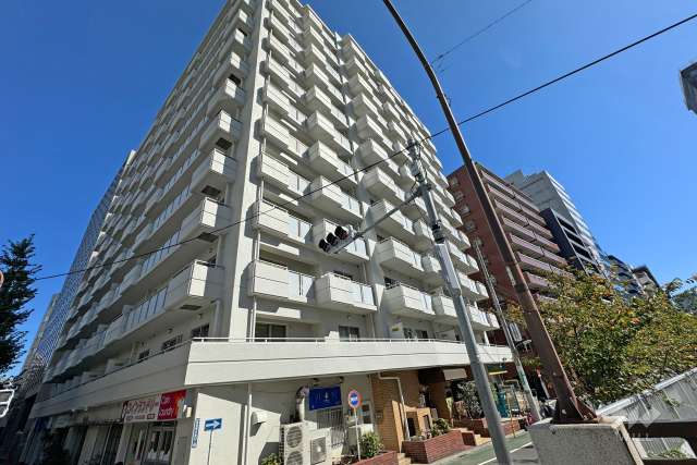 五反田リーラーハイタウンの外観（南西側から）