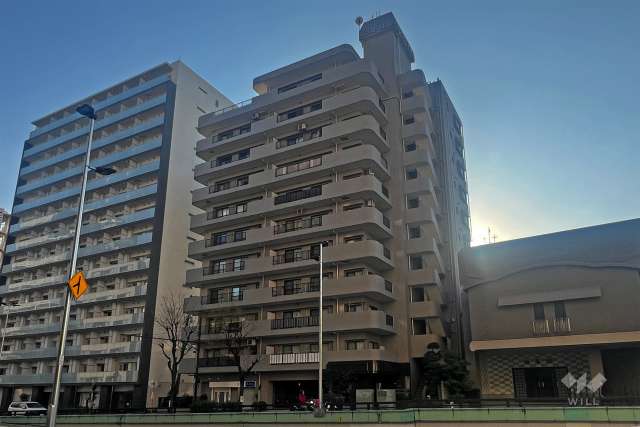 パラスト下目黒の外観(北東側から)