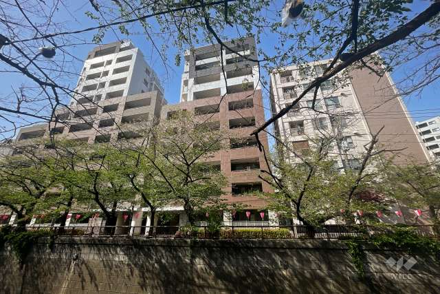 クオリア目黒大橋イーストの外観（南東側から）