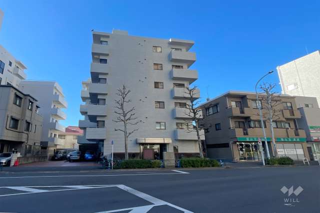 ルミナール若松町の外観（北東側から）