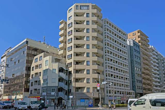 アルカーデンシティリンクス新宿の外観（南東側から）