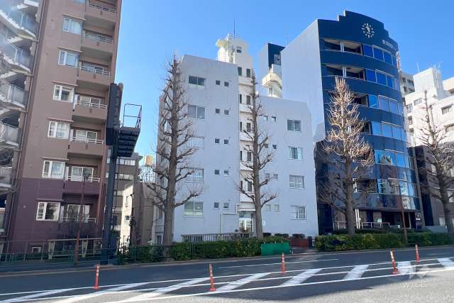 ニューキャッスル荻窪マンションの外観（北東側から）