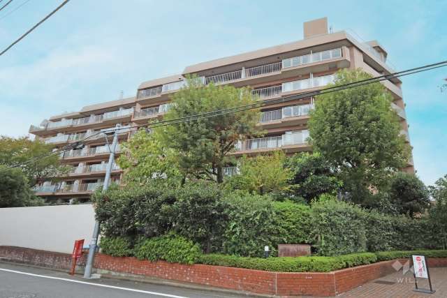 杉並和田ハイムの外観（北東側から）