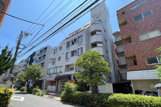 マノア玉川第1の外観（北側から）