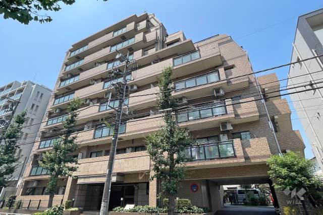 マンションの外観、公園