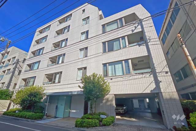 コスモイオ桜新町の外観（南東側から）