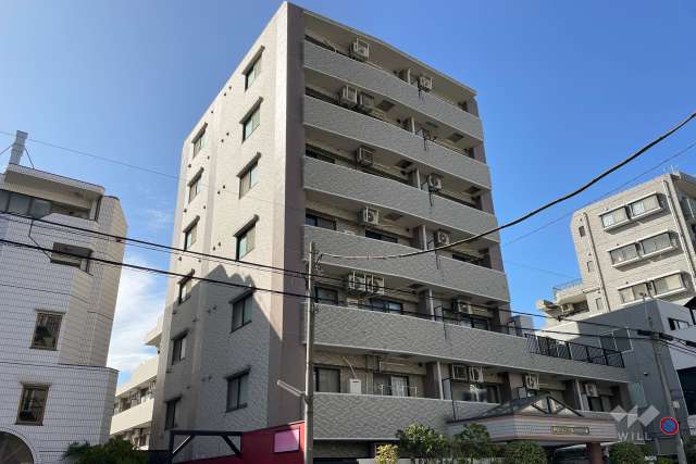 ダイアパレス三宿ベネヴィータの外観（南東側から）