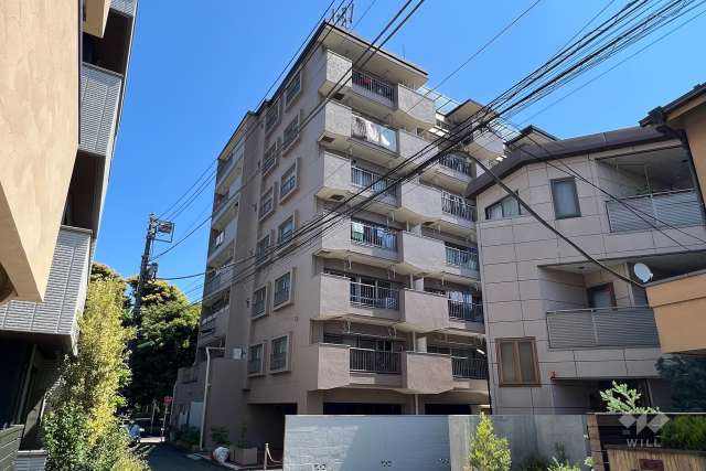 マンションの外観、公園