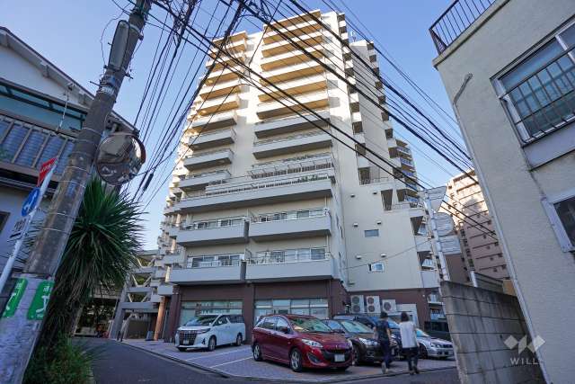 古河松原マンションの外観（南西側から）