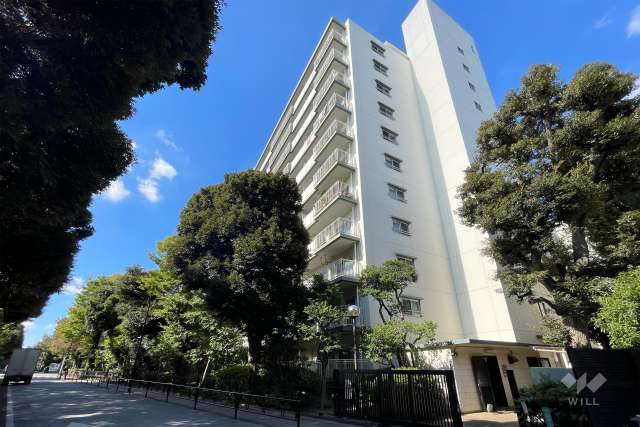 マンションの外観