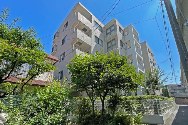 マンションの外観、公園