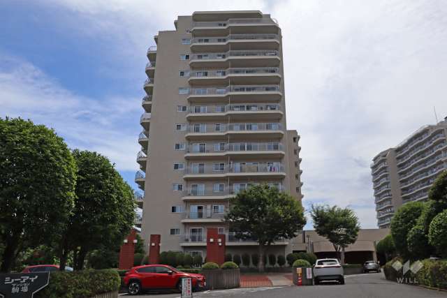 シーアイマンション駒場B号棟の外観（北東側から）