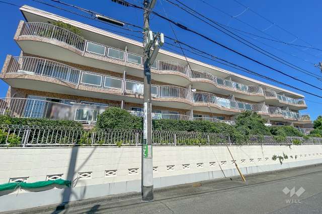 ハウス上野毛の外観（南側から）