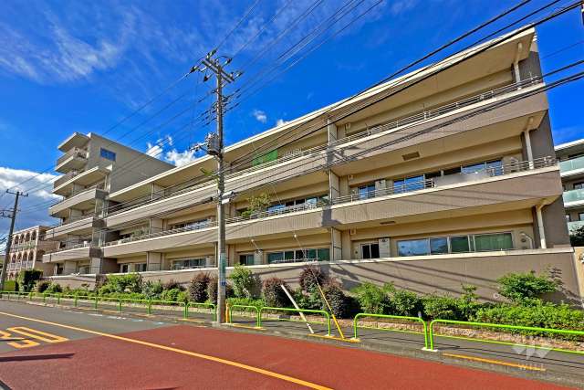 マンションの外観、公園