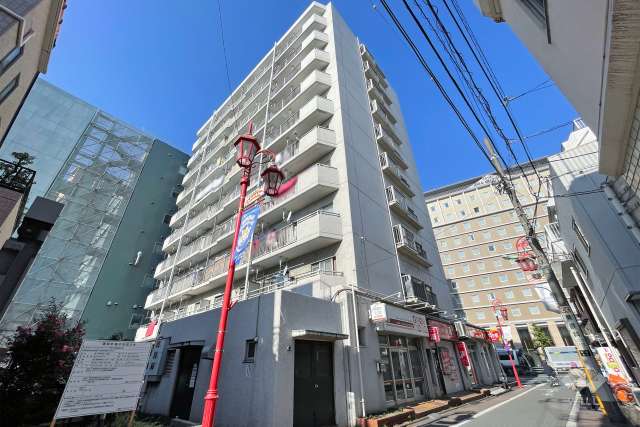 スカイパーク多摩川の外観（南東側から）