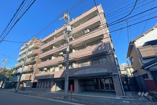 ロイヤルパレス千鳥町の外観（南東側から）