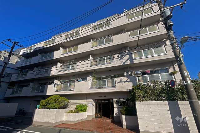 マンションの外観