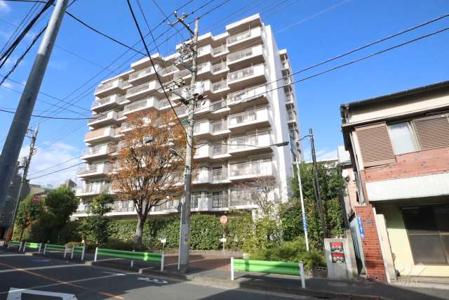 ルネ蒲田ガーデンステイツの外観(南東側から)　　