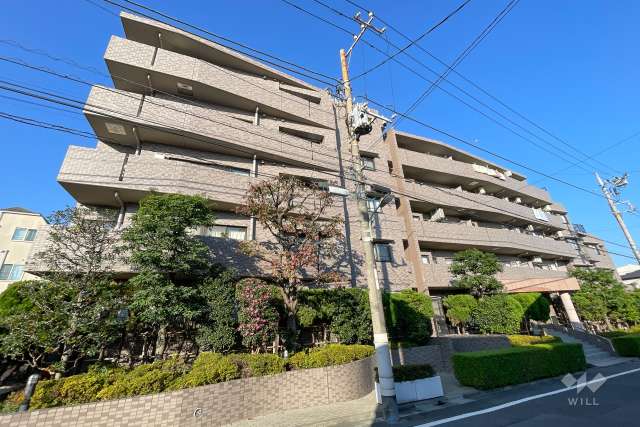 マンションの外観、公園