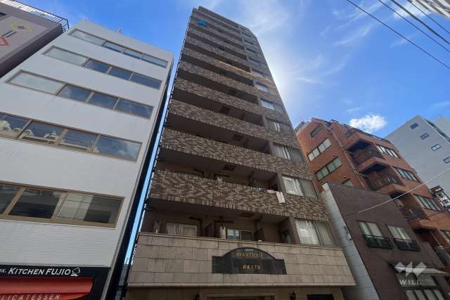 アヴァンティーク銀座一丁目の外観（北側から）