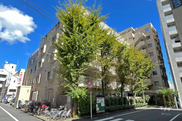 ハイツ日本橋中洲の外観（西側から）