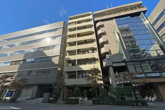 光建ハイム日本橋の外観（南東側から）