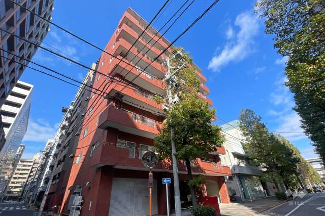 箱崎ダイヤマンションの外観（南東側から）　　