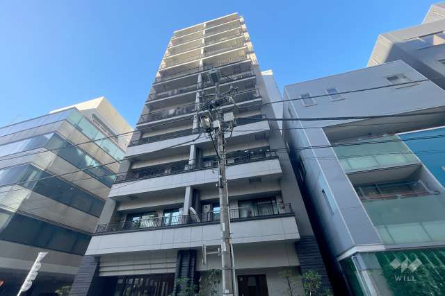 グリーンパーク中央湊の外観（南側から）