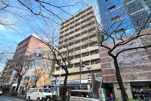 ライオンズマンション中野第3の外観（南西側から）