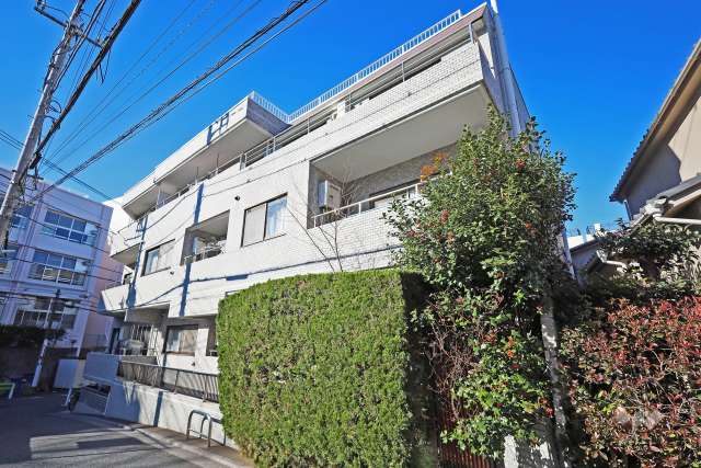 コスモ大泉学園の外観（南東側から）