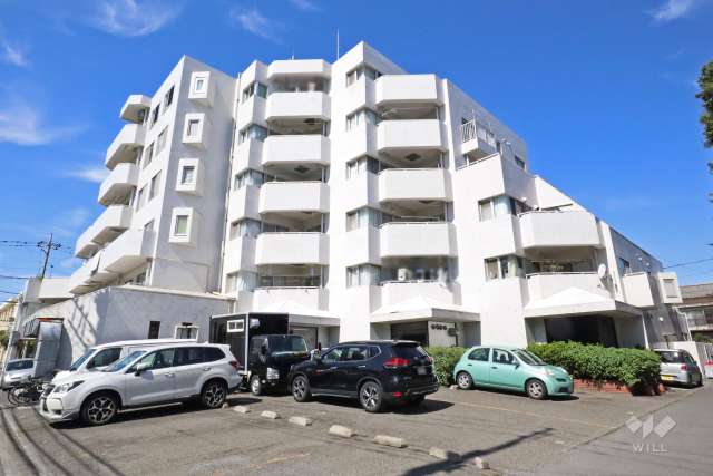 しらかばポイント1の外観（南東側から）