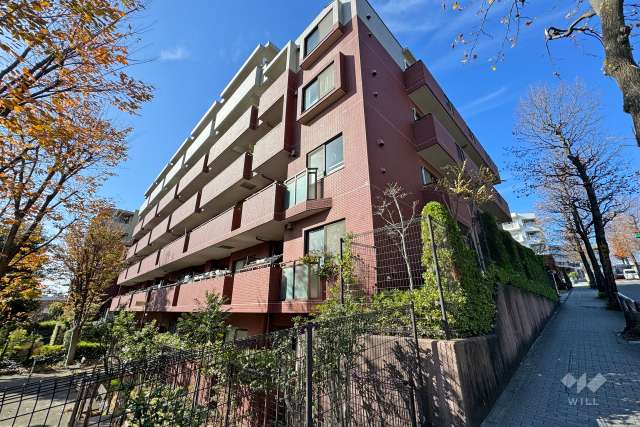 ヒルハイツ宮前平ウエストの外観（東側から）