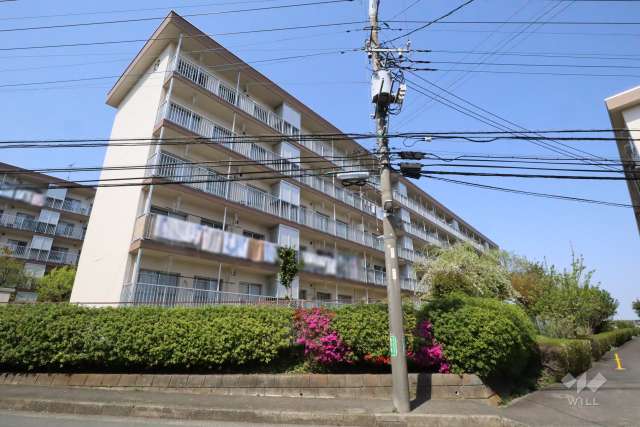 白幡台住宅13号棟の外観(南側から)