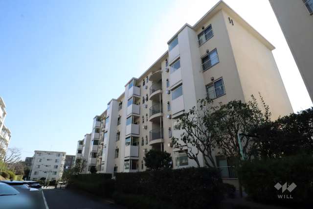 向ヶ丘遊園センチュリータウン11号棟の外観(北西側から)