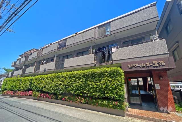 セザール第1鷺沼の外観（南東側から）