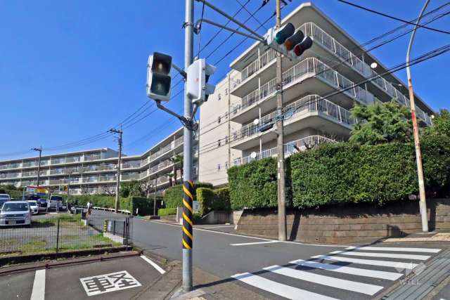 宮前平パームハウスB棟の外観(南側から)