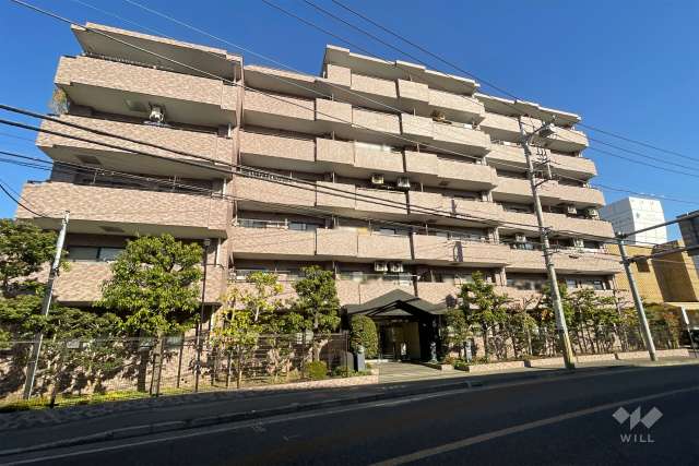 クレッセント溝の口の外観（南西側から）