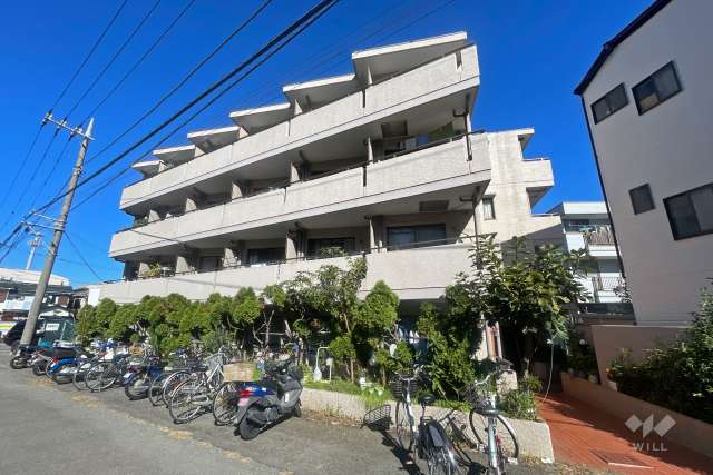 セザール元住吉の外観（南側から）