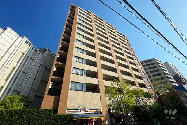 ブランズ溝の口レジデンスの外観（南側から）