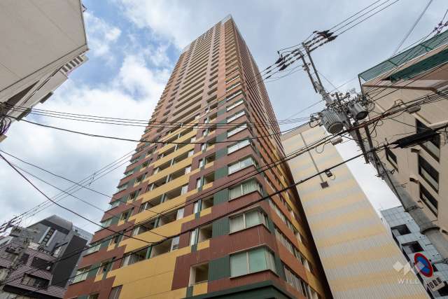 サンクタスタワー心斎橋ミラノ・グランデの外観（南東側から）