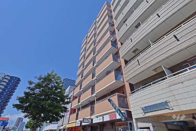 野田ハイデンスの外観（南西側から）