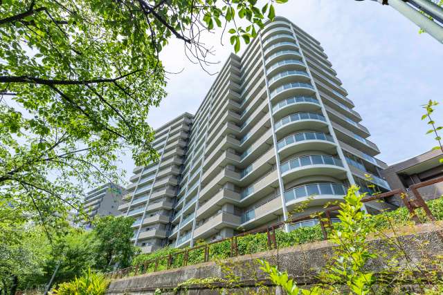 ロイヤルアーク花水都OSAKAの外観（北東側から）