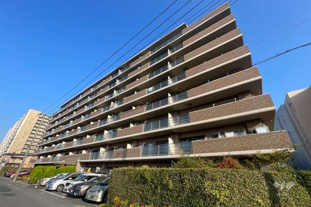 シュロス川口元郷リバーテラスの外観（南東側から）